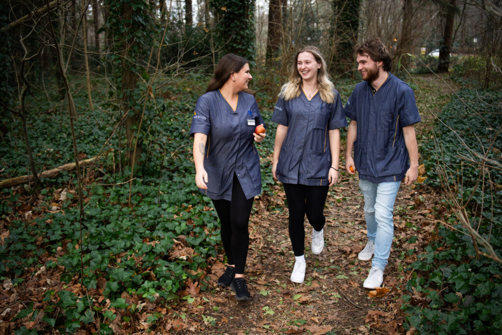 Zorgprofessionals die even een wandeling door het bos maken
